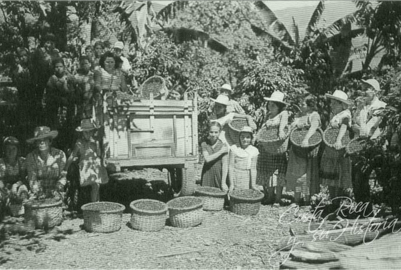 foto historia del café