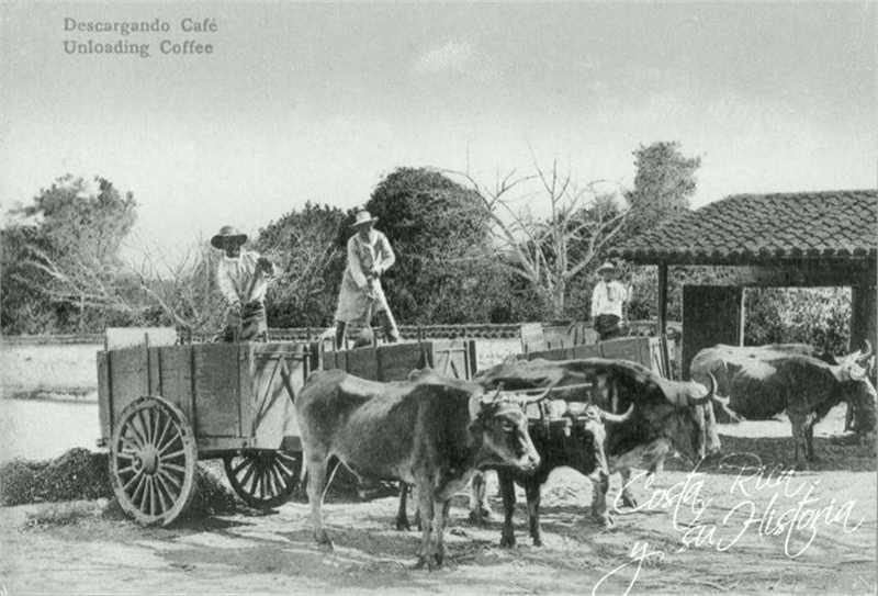 foto historia del café