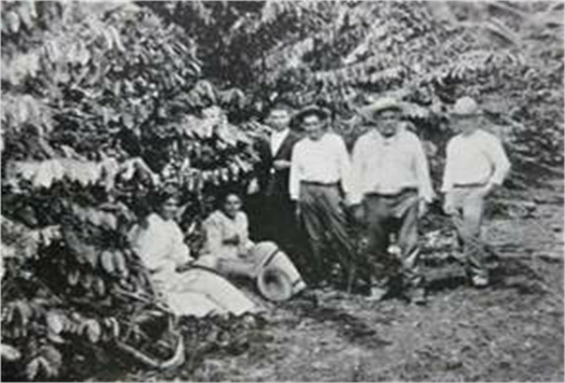 foto historia del café