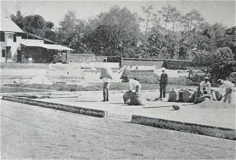 foto historia del café