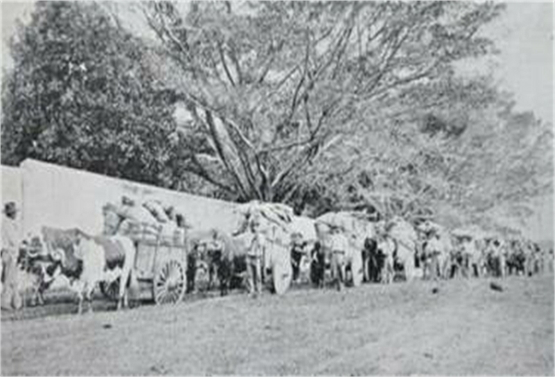 foto historia del café